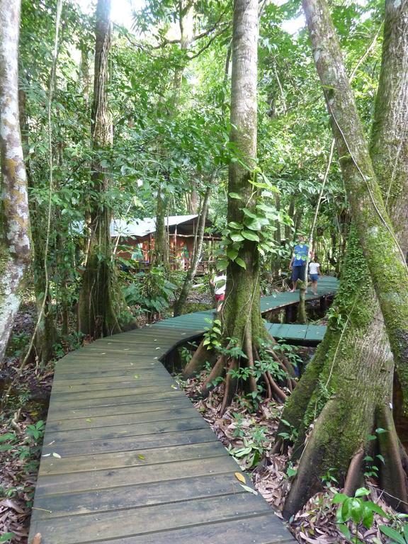 Hotel Casa Perico Rio Dulce Town Extérieur photo